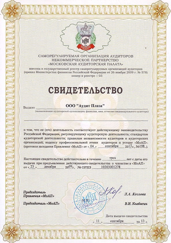 Свидетельство ООО «Аудит Плаза» (2013 год)
